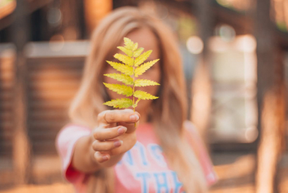 Adoptați coachingul sezonului frunzelor care cad: trăiască toamna!